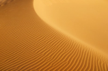 八大沙漠(探秘八大沙漠：从生态环境到旅游景点)