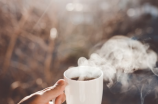 茶杯头大冒险：探索咖啡的奥秘