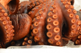 深度解析大章鱼-其中的护甲与射击技术