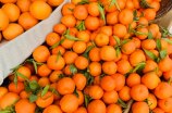 橘子丰收季节来临，吃橘子这些小技巧你知道吗？